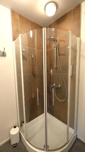 a shower with a glass door in a bathroom at Maison d'Hôtes Cerf'titude in Érezée
