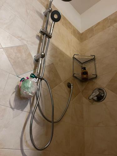 La salle de bains est pourvue d'une douche avec un pommeau de douche. dans l'établissement AppArt 21, à Lignano Sabbiadoro