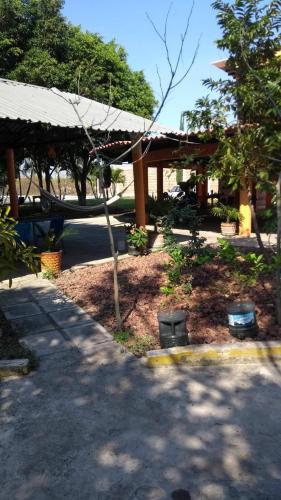 un jardín con una hamaca y un pabellón en Hospedaje Familiar Op3, en Tlaquiltenango