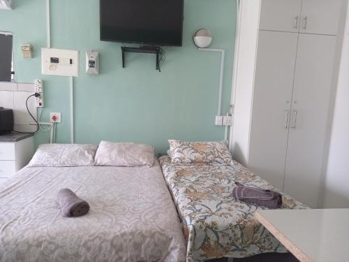 a bedroom with a bed and a tv on the wall at Mountainia Inn in Worcester