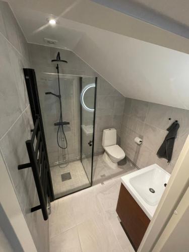 a bathroom with a shower and a toilet and a sink at Nice Apartment close to everything in Malmö