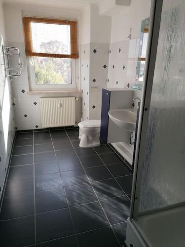 ein Bad mit einem WC und einem Waschbecken in der Unterkunft Kleine Wohnung für Monteure und Dienstreisen in Zwickau