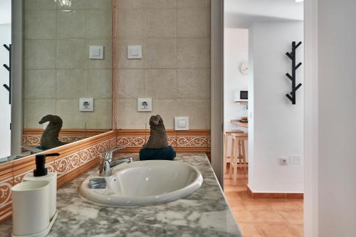 a bathroom with a sink and a mirror at CostaSun and Pool in Costa Calma