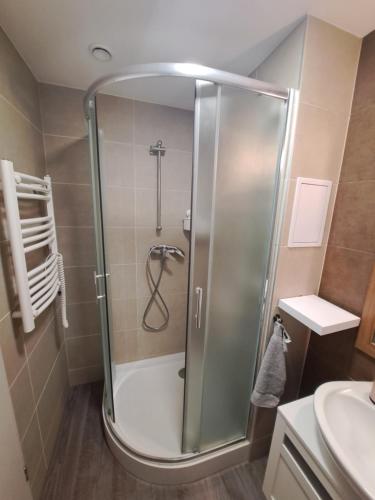 a shower with a glass door in a bathroom at Silver Apartman in Siófok