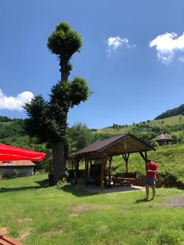 um homem ao lado de uma mesa de piquenique e uma árvore em Casa Pescarului Apuseni em Sohodol