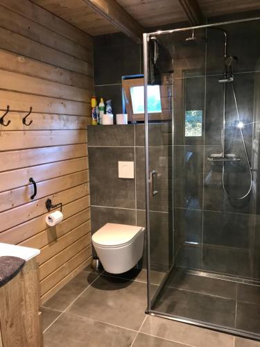 a bathroom with a toilet and a glass shower at Landelijk gelegen houten huisje in Opperdoes