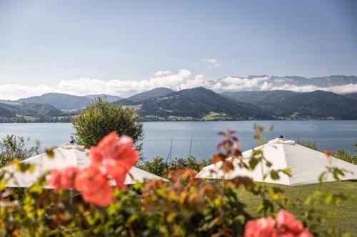 two umbrellas on a lawn with a view of a lake at Villa Weiss in Attersee am Attersee