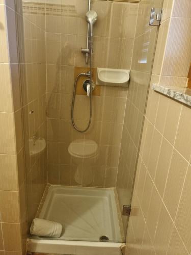 a bathroom with a shower with a bath tub at Hotel Plammas in Santa Maria Navarrese