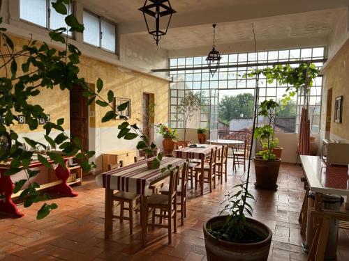 a restaurant with tables and chairs and potted plants at Residencial Avenida Hostel in Tomar