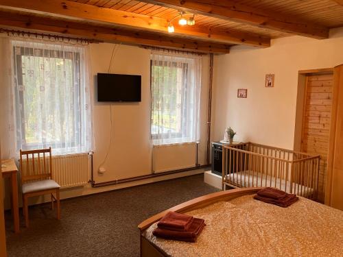 a bedroom with a bed and a flat screen tv at Penzion Restaurace Zátiší in Rumburk