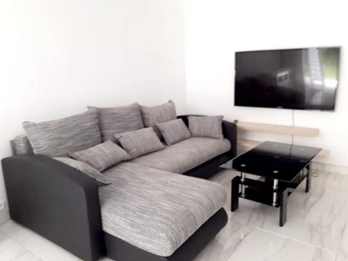 a living room with a couch and a tv at Appartement de 2 chambres avec jardin amenage et wifi a Le Lamentin a 4 km de la plage in Le Lamentin
