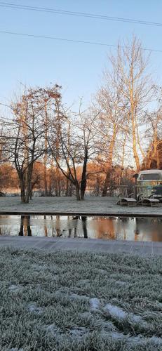 a park with snow on the ground and trees in the background at B & B Victors Hof, met zwemvijver in landelijke setting in Lievegem