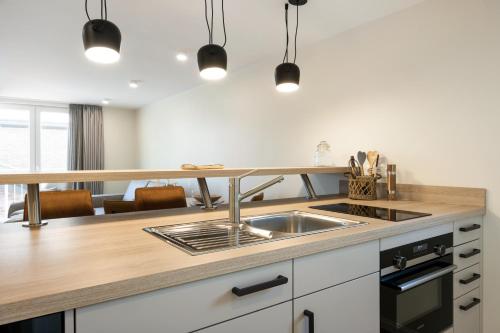 a kitchen with a sink and a counter top at My Suite Leesch - Hotel & Restaurant nahe Büsum - Hunde herzlich willkommen in Reinsbüttel