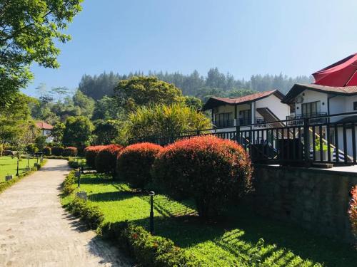 a walkway in front of a house with bushes at Okwin Resort in Kandy