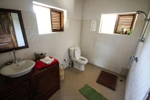 a bathroom with a sink and a toilet and two windows at Baobab Beach Villa, Ushongo Beach, Pangani in Ushongo Mabaoni
