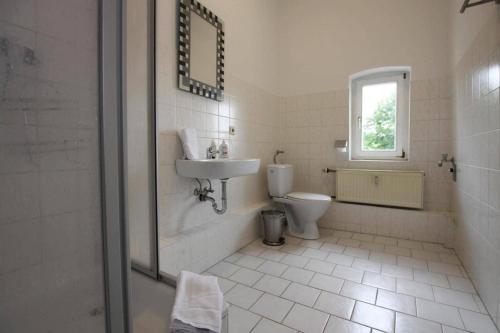 ein Bad mit einem Waschbecken, einem WC und einer Dusche in der Unterkunft Holiday flat Askani Ballenstedt - DMG03102h-EYC in Ballenstedt