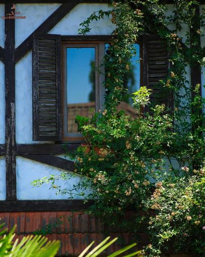 a window on the side of a house with plants at Khan Lankaran Hotel in Lankaran