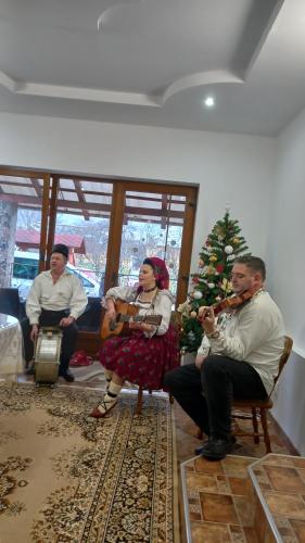 a group of people sitting in a living room with a christmas tree at Pensiunea Casa Ancuta in Vadu Izei