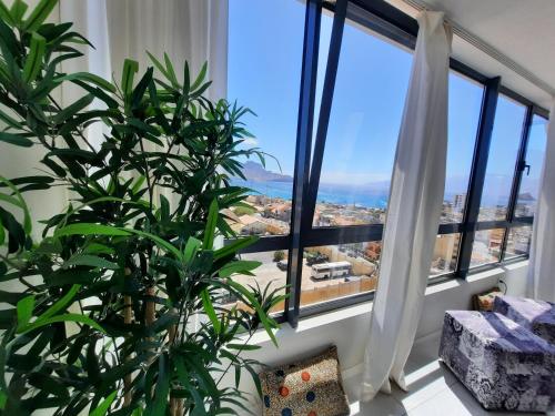 a plant in a room with a large window at Bellavista in Mindelo