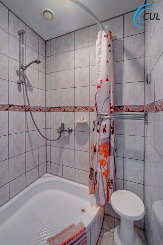 a bathroom with a tub and a toilet at Jawor in Polańczyk