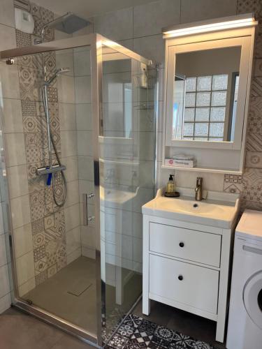 a bathroom with a shower and a sink and a mirror at Lac et Montagne in Chorges