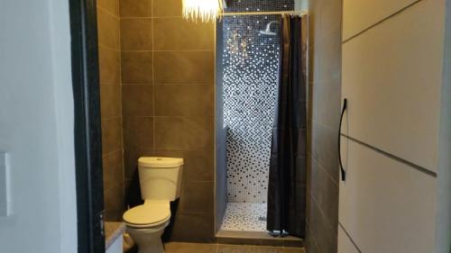 un baño con inodoro y ducha en Whalers Retreat, en Bettyʼs Bay