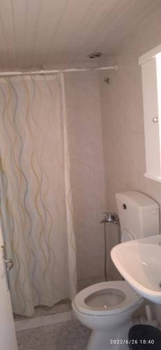 a bathroom with a shower with a toilet and a sink at Lemonis House in Nea Skioni