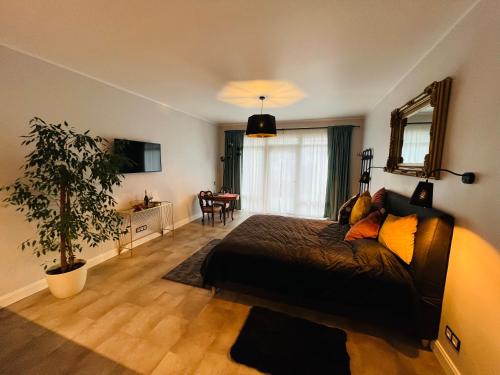 a bedroom with a bed and a potted plant at Ikšķiles apartamenti in Ikšķile