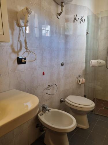 a bathroom with a toilet and a shower with a phone at Hotel Plammas in Santa Maria Navarrese