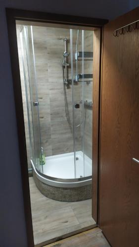 a shower with a glass door in a bathroom at Haus am Wald Zorge 16+ Gäste in Walkenried