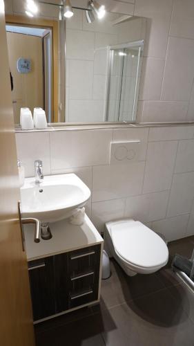 a bathroom with a sink and a toilet and a mirror at Ufem Egg Ferienwohnungen in Innertkirchen