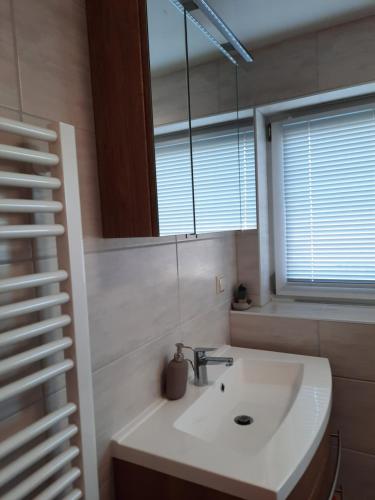 a bathroom with a sink and a mirror at cosy home in Dresden