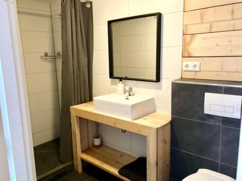 een badkamer met een wastafel en een spiegel bij Cosy beach house for ocean & nature lovers in Noordwijk