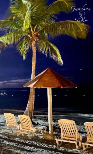 a group of chairs and a palm tree on a beach at Accès Direct Plage, Vue Mer d'exception, Les Gwada Studios, Village Vacances in Sainte-Anne