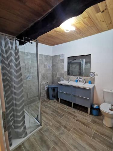 une salle de bain avec une douche, un lavabo et des toilettes dans l'établissement Bâtisse Provençale avec piscine, à Banon
