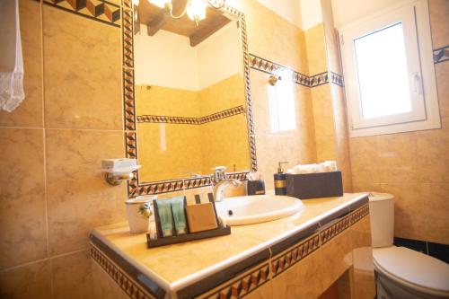 bagno con lavandino, specchio e servizi igienici di Soffitta House Sofi! a Florina