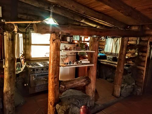 a kitchen with a stove and an oven in a cabin at Malo Watson Hostel in Tandil