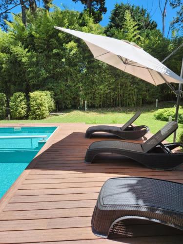 Kolam renang di atau dekat dengan Suite House Carilo
