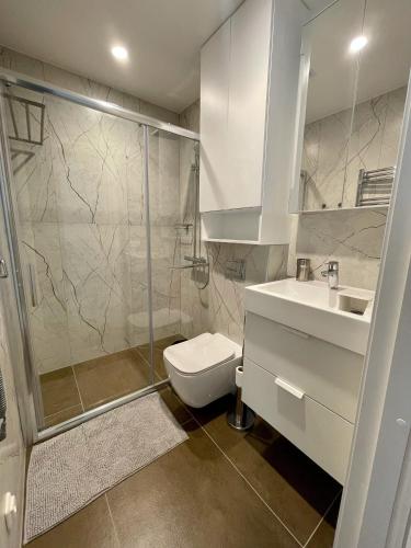 a bathroom with a shower and a toilet and a sink at COME2rest - Kalno namai in Juodkrantė