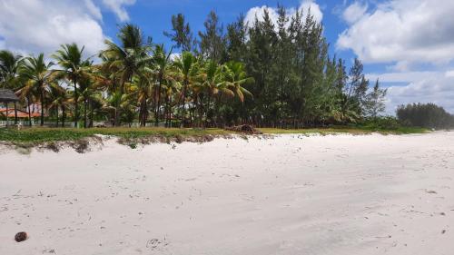 a sandy beach with palm trees in the background at casa amar guaibim in Guaibim