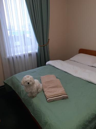 a white dog sitting on a bed with a towel at Готель "Опалковий Замок" in Kyiv