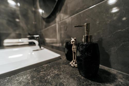 a bathroom with a soap dispenser and a sink at Kiss Apartment in Šilutė