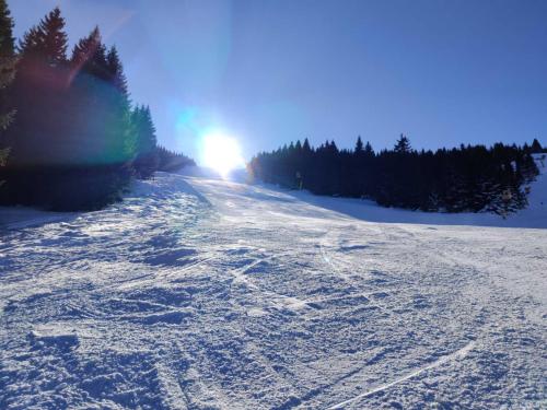 P20 Milmari, DeLuxe Studio, Kopaonik en invierno