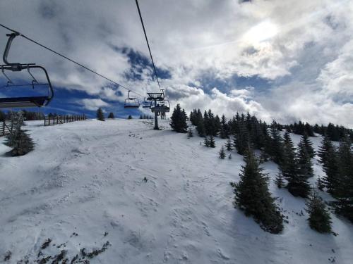 P20 Milmari, DeLuxe Studio, Kopaonik en invierno
