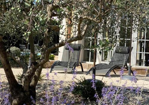 Taman di luar Echappée en Provence