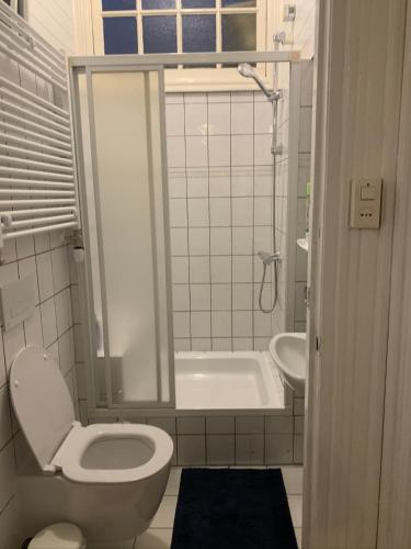 a bathroom with a toilet and a shower and a sink at Dinkel Verblijf in Denekamp