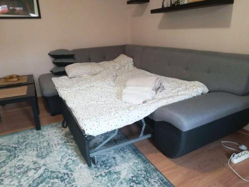 1 cama y 1 silla en una habitación en Viki Apartment CENTAR, en Niš