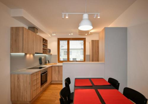 a kitchen with a table with a red rug at EFI Residence Holzova 28 in Brno