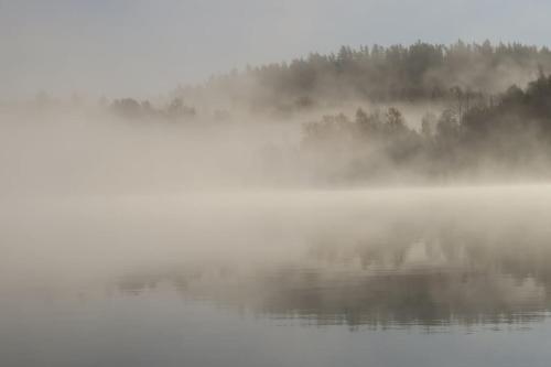 a misty lake with trees in the background at Lovely house on beautiful private lakeside estate! in Bunn