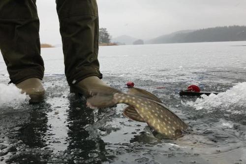 a person is standing in the water with a fish at Lovely house on beautiful private lakeside estate! in Bunn